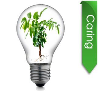 Energy Law